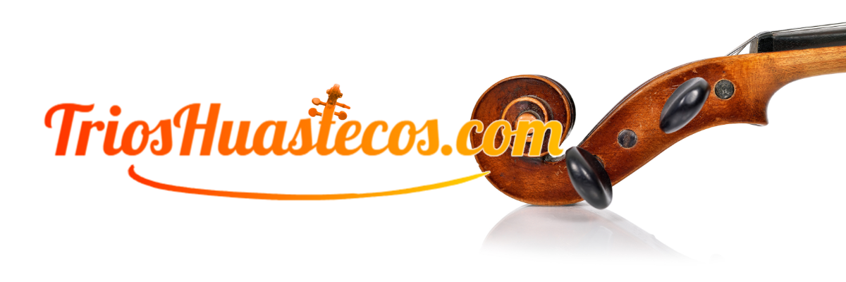 violin huasteco